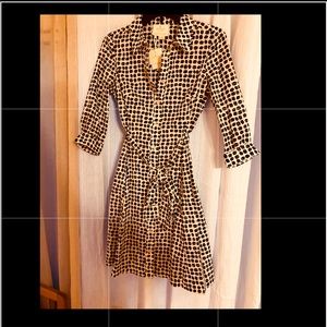 Kate spade coffee bean belt shirt dress